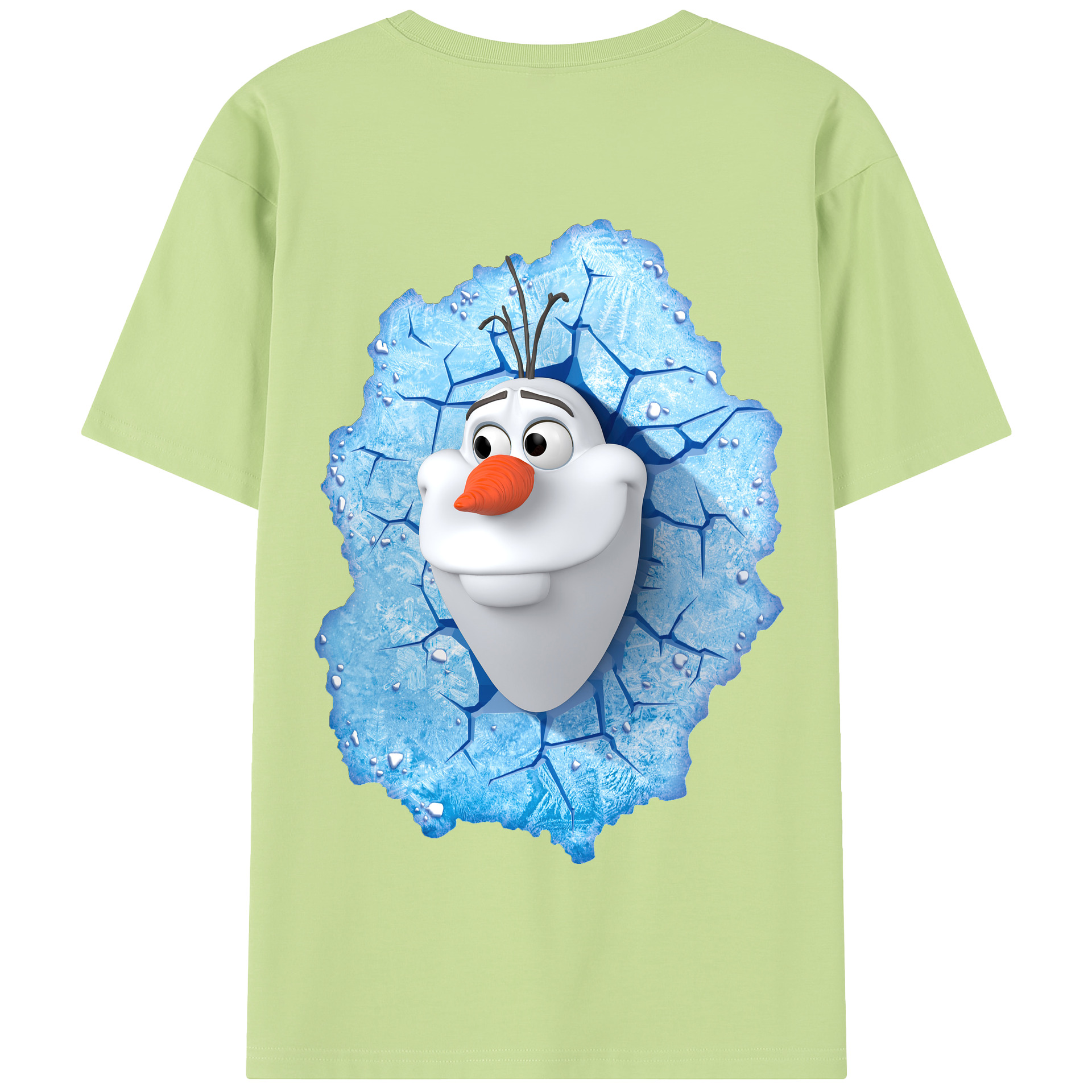（画像用） アナと雪の女王 アンナ エルサ Frozen Anna Elsa 綿100％半袖Tシャツ（背面プリント）